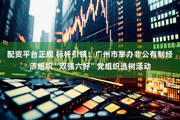 配资平台正规 标杆引领！广州市举办非公有制经济组织“双强六好”党组织选树活动
