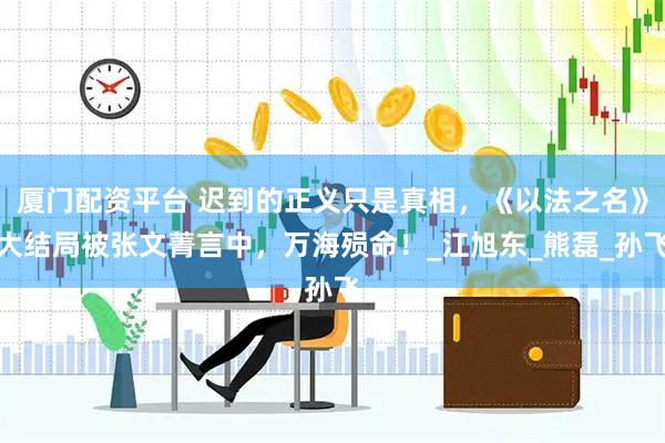 厦门配资平台 迟到的正义只是真相，《以法之名》大结局被张文菁言中，万海殒命！_江旭东_熊磊_孙飞