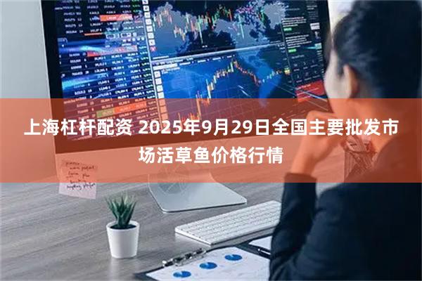 上海杠杆配资 2025年9月29日全国主要批发市场活草鱼价格行情